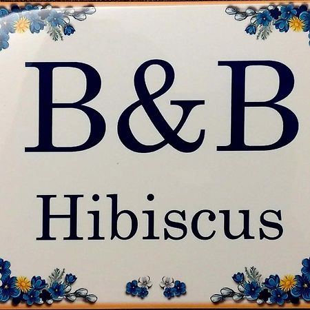 B&B Hibiscus Porto SantʼElpidio Eksteriør billede